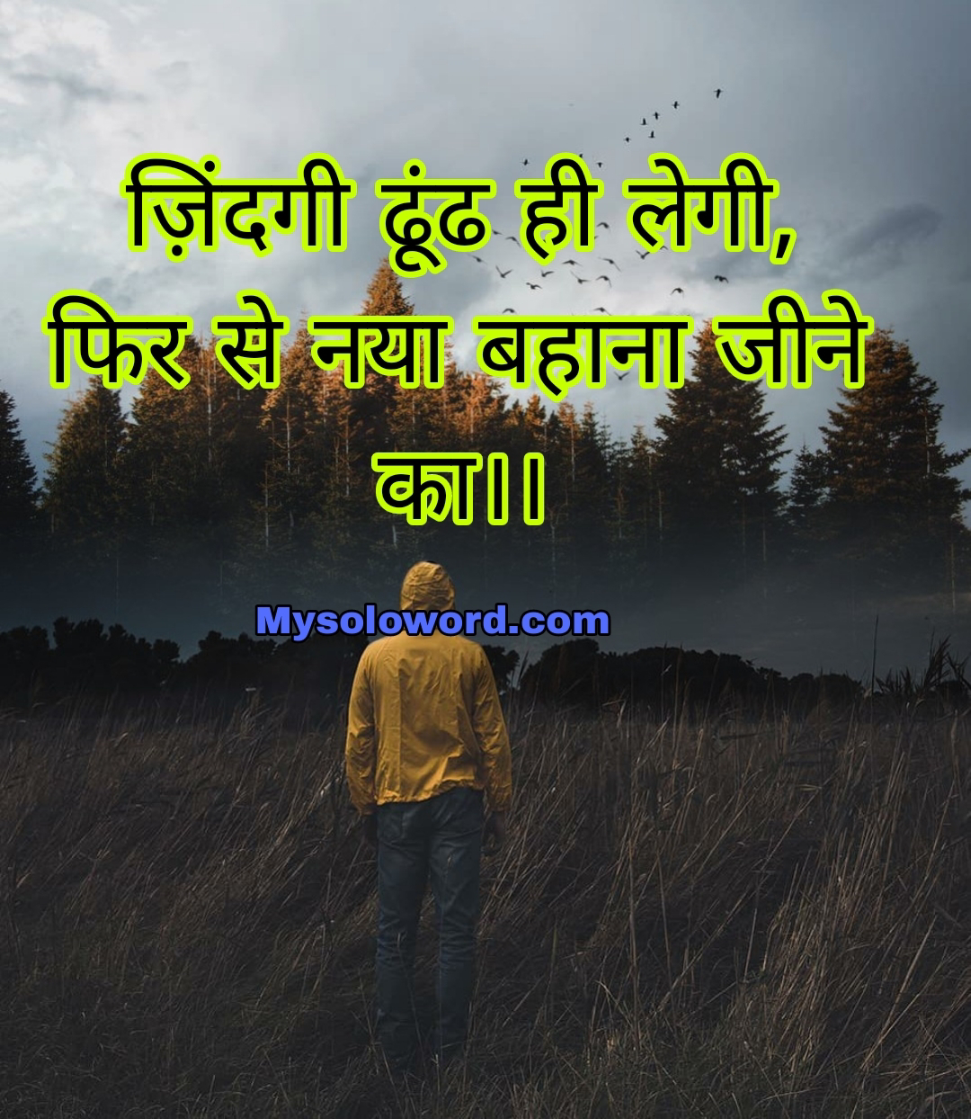 ज़िंदगी ढूंढ ही लेगी, फिर से नया बहाना जीने का।।