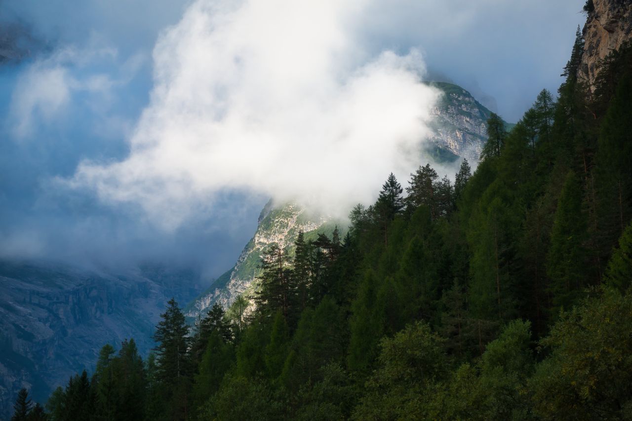Home Scenic view of misty mountains and lush forests in Trentino-Südtirol, Italy.